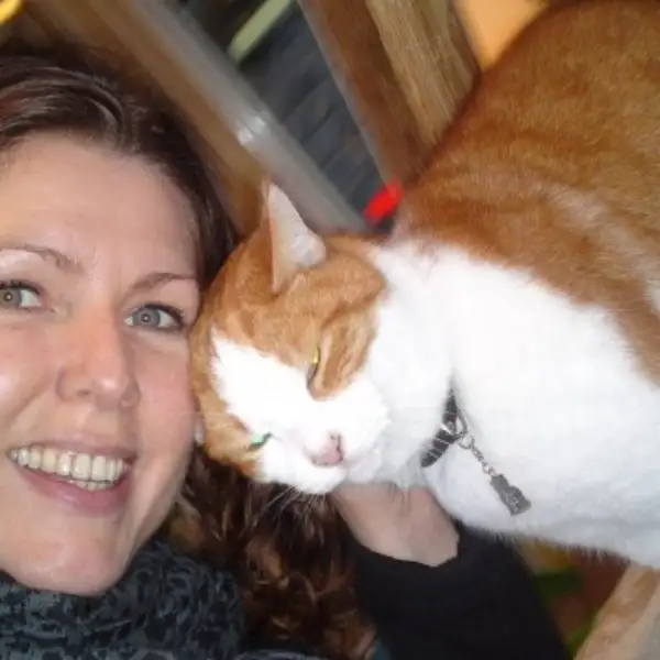 Wel voor de Poes